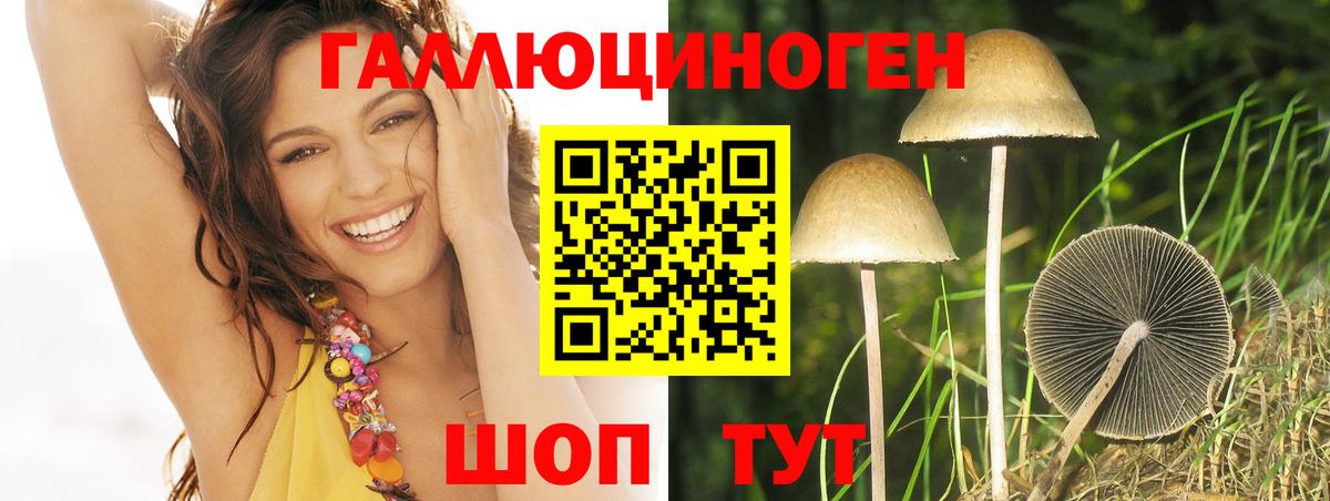 Псилоцибиновые грибы Psilocybe  Вход с VPN  Лангепас 